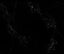 EMPIRA BLACK – CAESARSTONE
