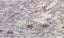Ambrosia White - Granite Worktop