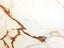 PAONAZZO – MARBLE