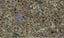 Labrador Antique - Granite Worktop
