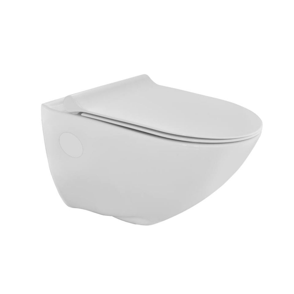 Continental Series Blind Installation Wall Hung Toilet Main image