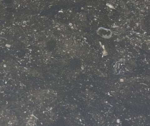 BELGIAN BLUE HONED – MARBLE