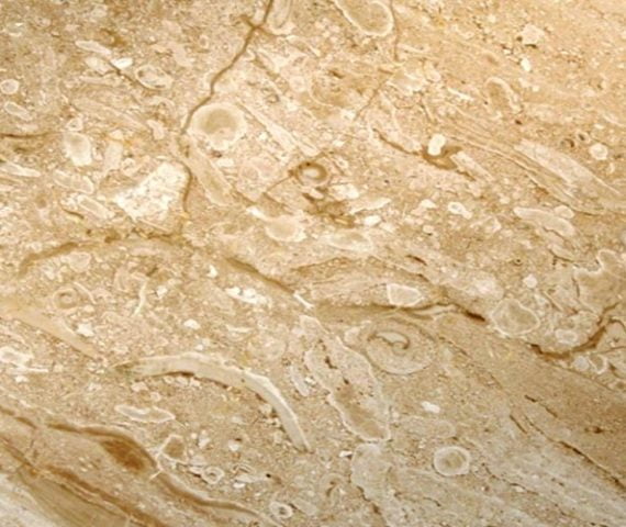 BRECCIA SARDA – MARBLE Main image