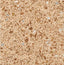 MITTE