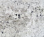 ANTIQUE WHITE