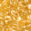 GOLDEN SHELL – MARBLE