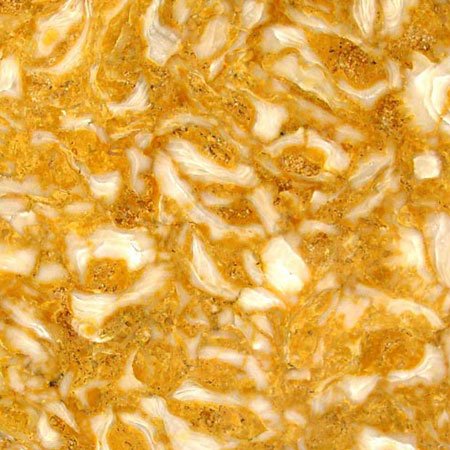 GOLDEN SHELL – MARBLE